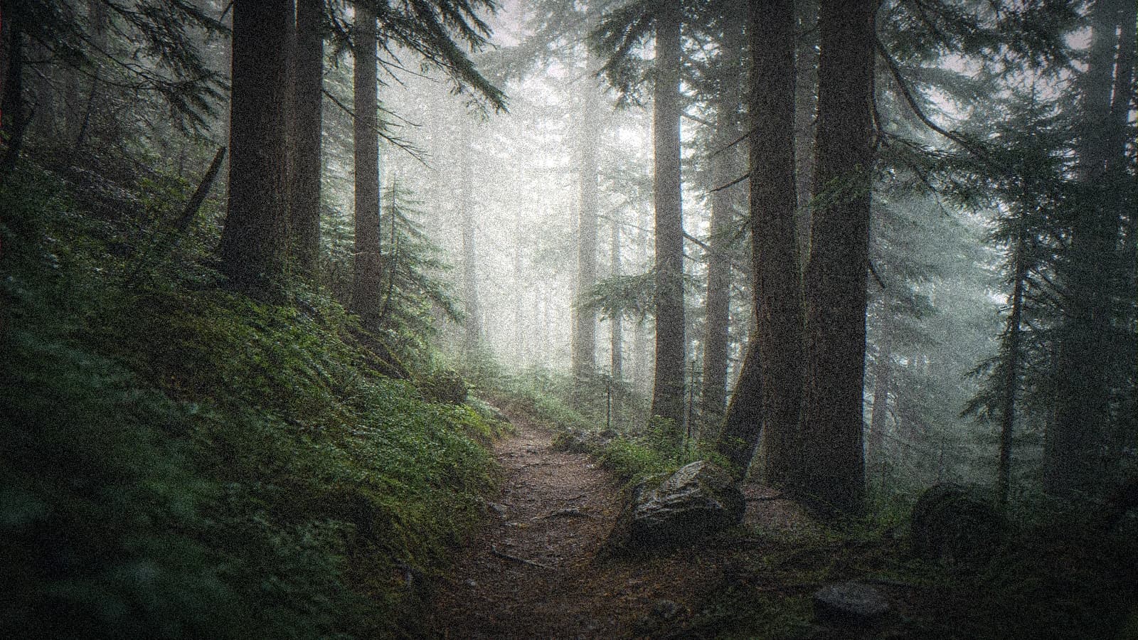 Illustration pour « Forêt et brume : profondeur de champ en extérieur IA »